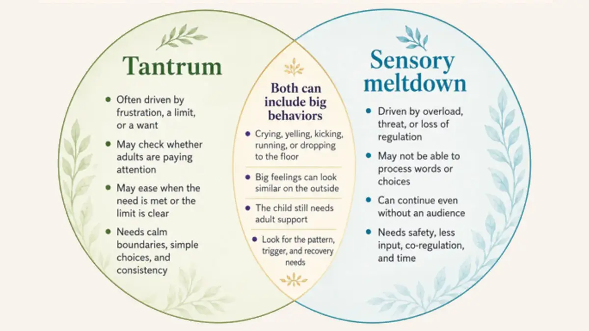 Venn diagram comparing tantrums and sensory meltdowns, including common signs, underlying causes, and supportive responses.