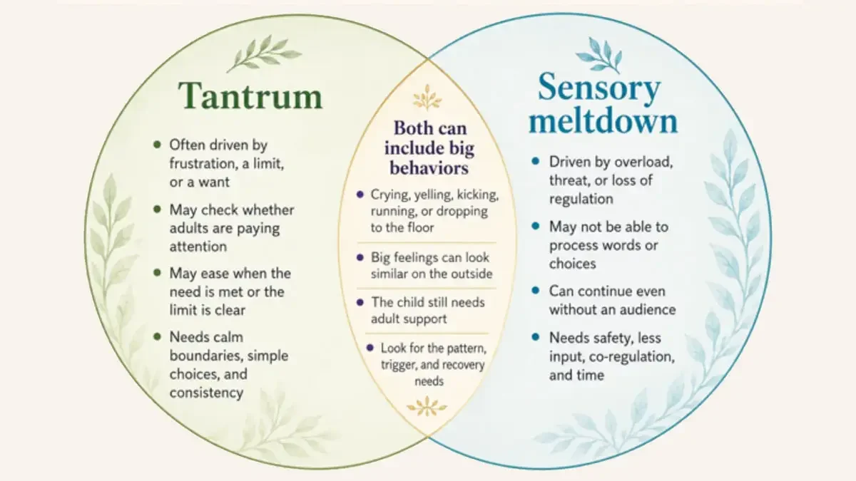 Venn diagram comparing tantrums and sensory meltdowns, including common signs, underlying causes, and supportive responses.